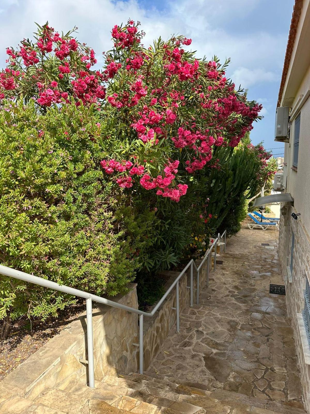 Apartamentos En La Villa Con El Territorio Comun En Calpe Bagian luar foto